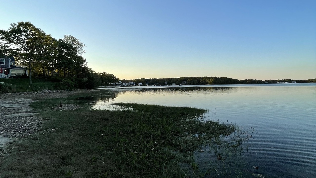 Photo of Others in Wareham