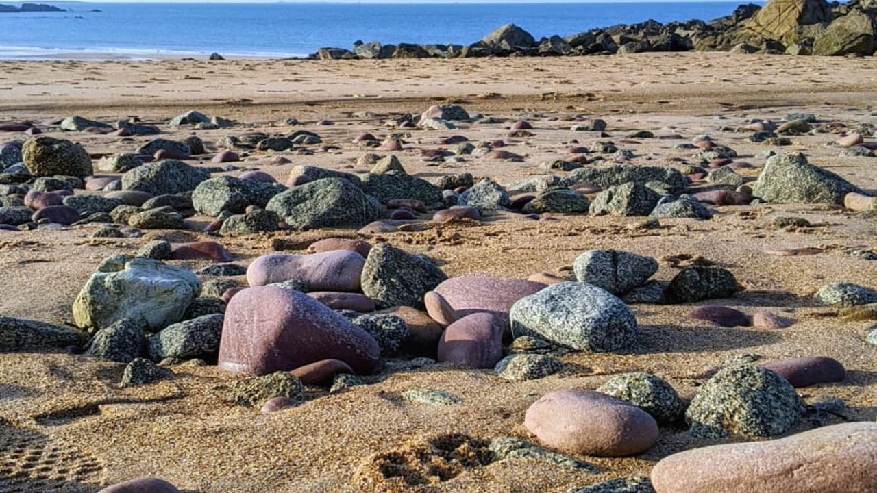 Photo of Others in Pleherel-Plage-Vieux-Bourg