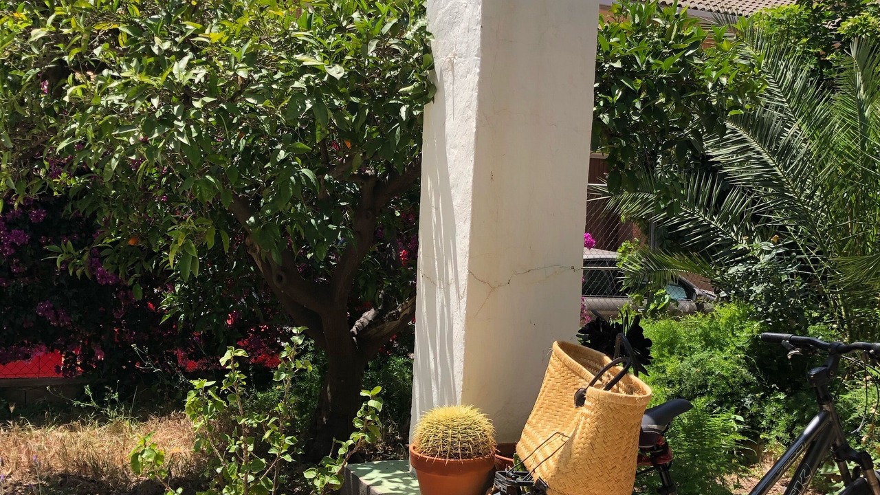 Photo of Outdoor in Foios