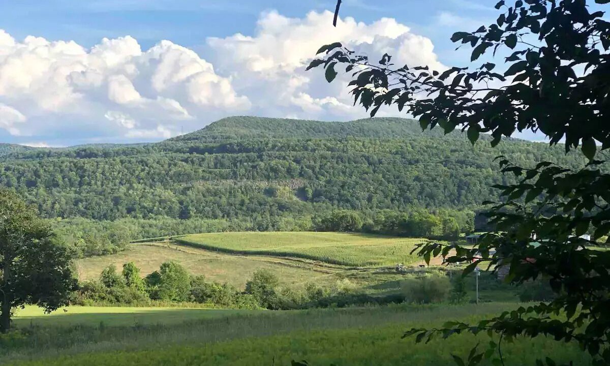 Photo of Others in Sprout Brook