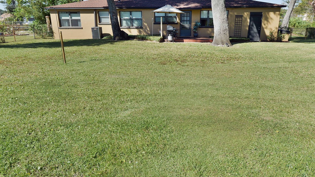 Photo of Others in Parker