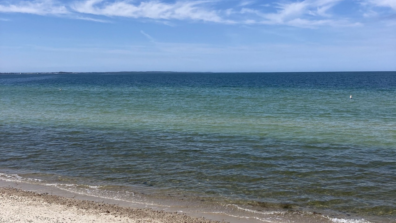 Photo of Others in West Falmouth