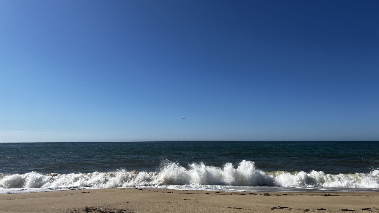 Photo of Others in Edgartown