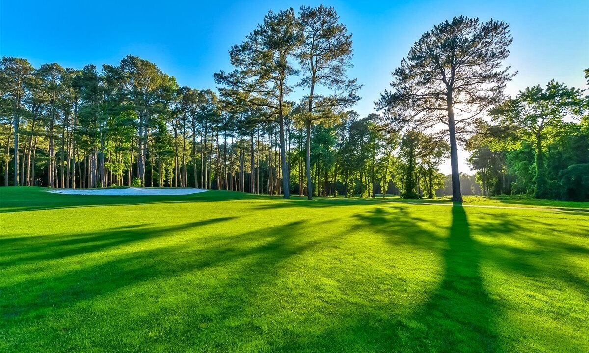 Photo of Others in Ocean Pines