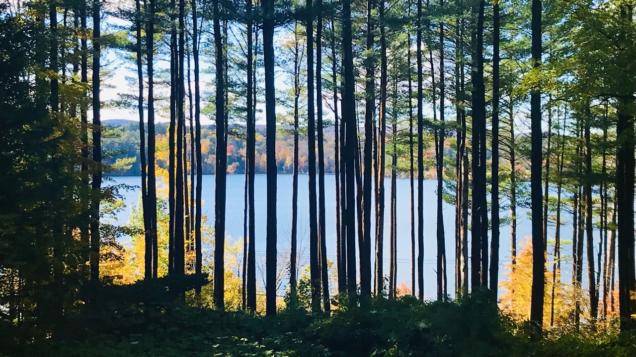 Photo of Outdoor in Lenox Dale