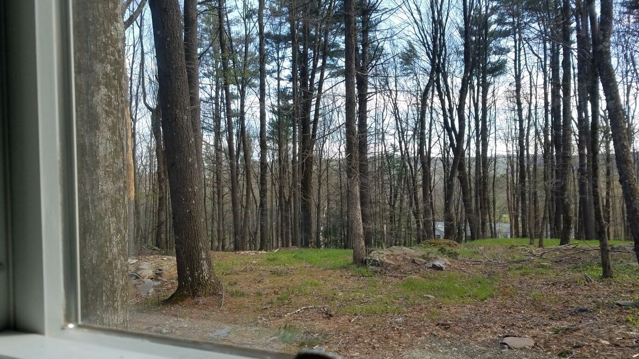Photo of Others in Woodstock