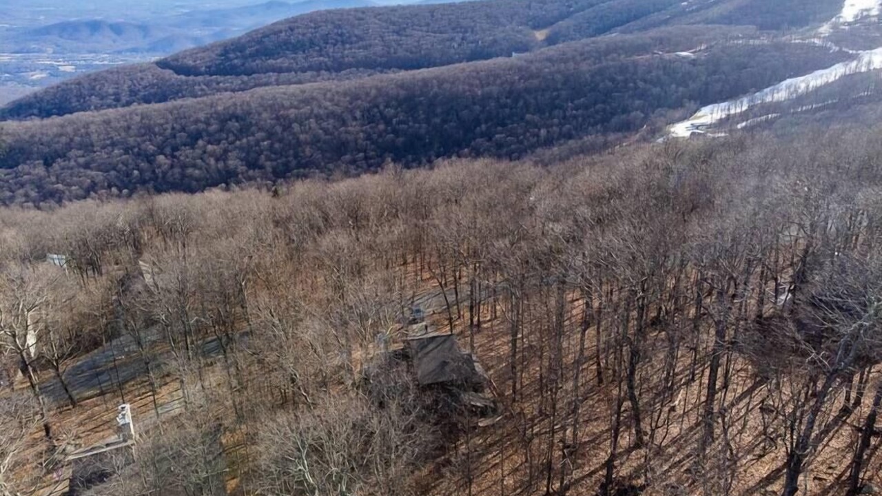 Photo of Others in Chestnut Springs