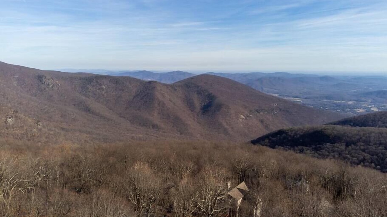 Photo of Others in Chestnut Springs