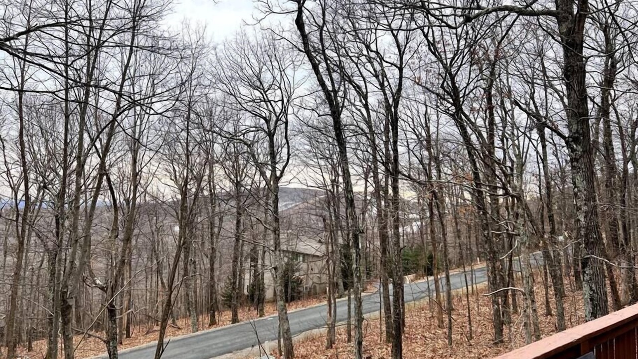 Photo of Others in Chestnut Springs
