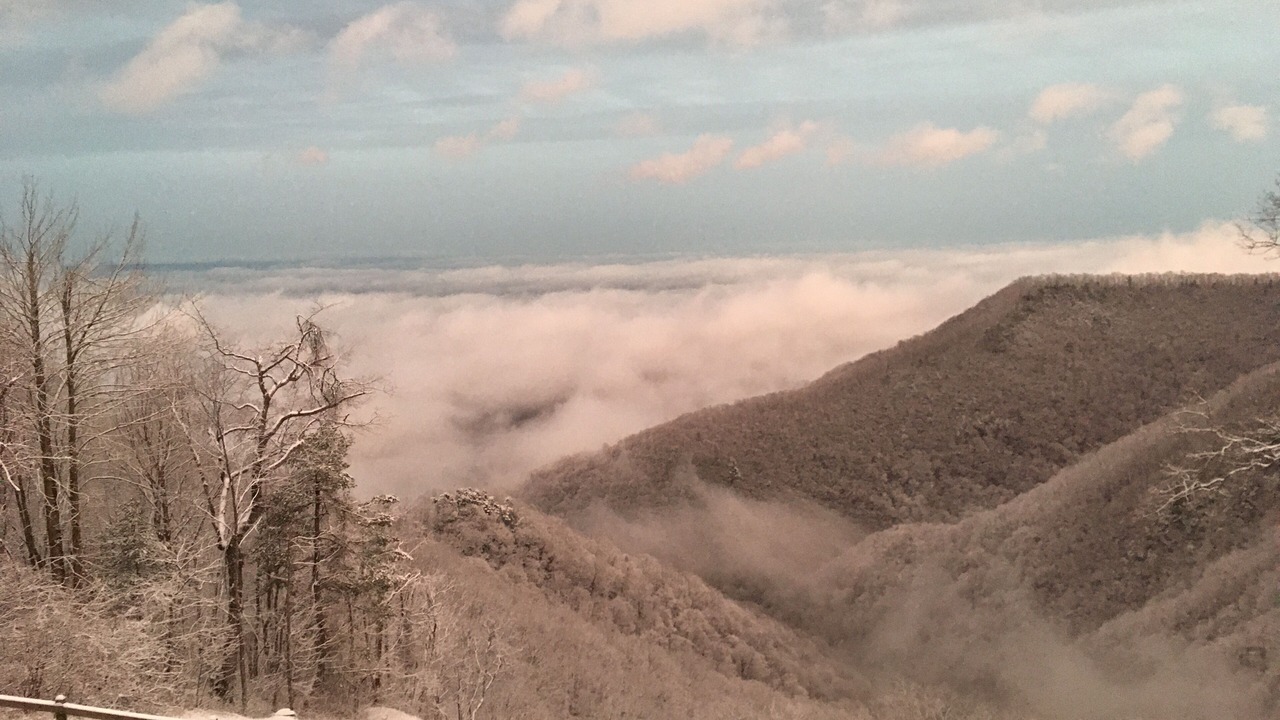 Photo of Outdoor in Piper Gap