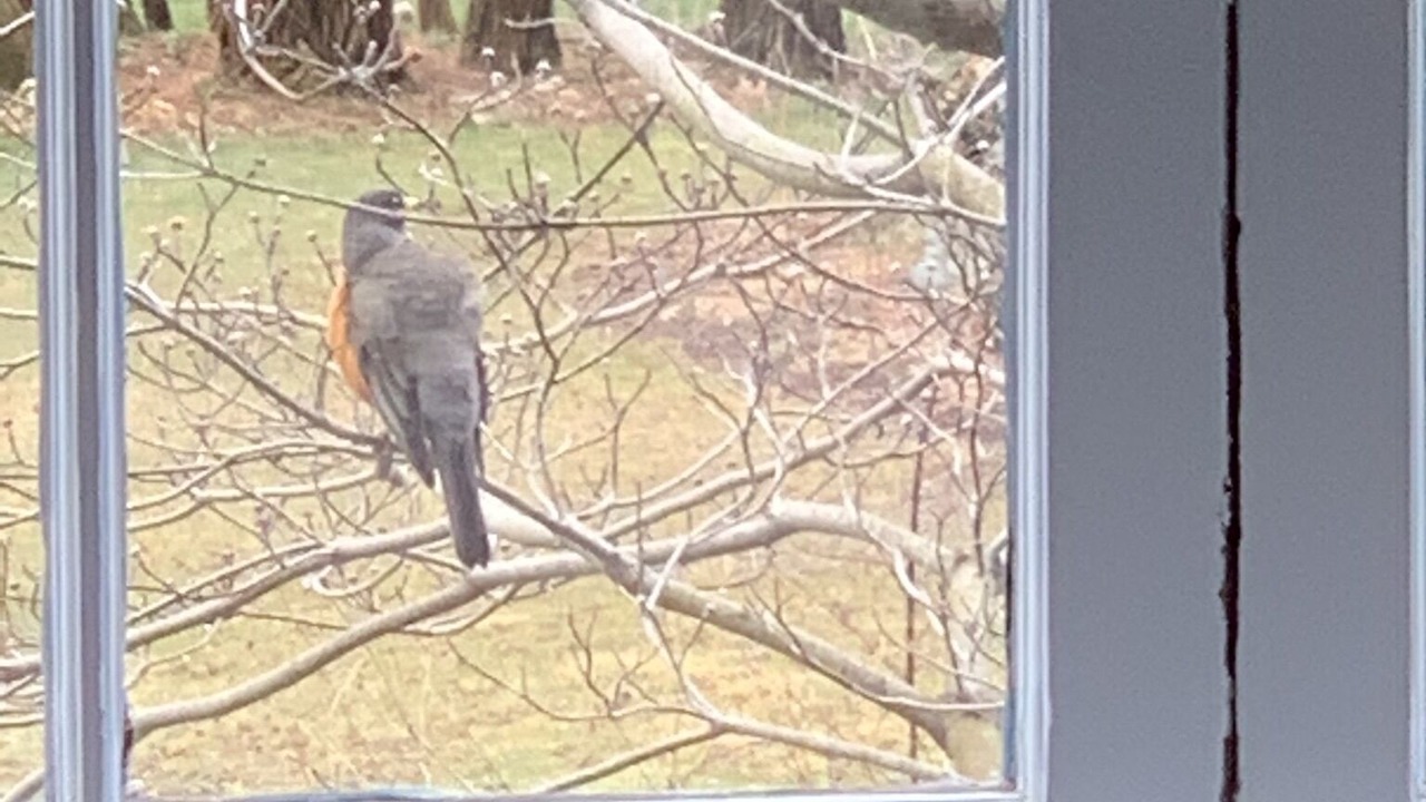 Photo of Others in Stockbridge