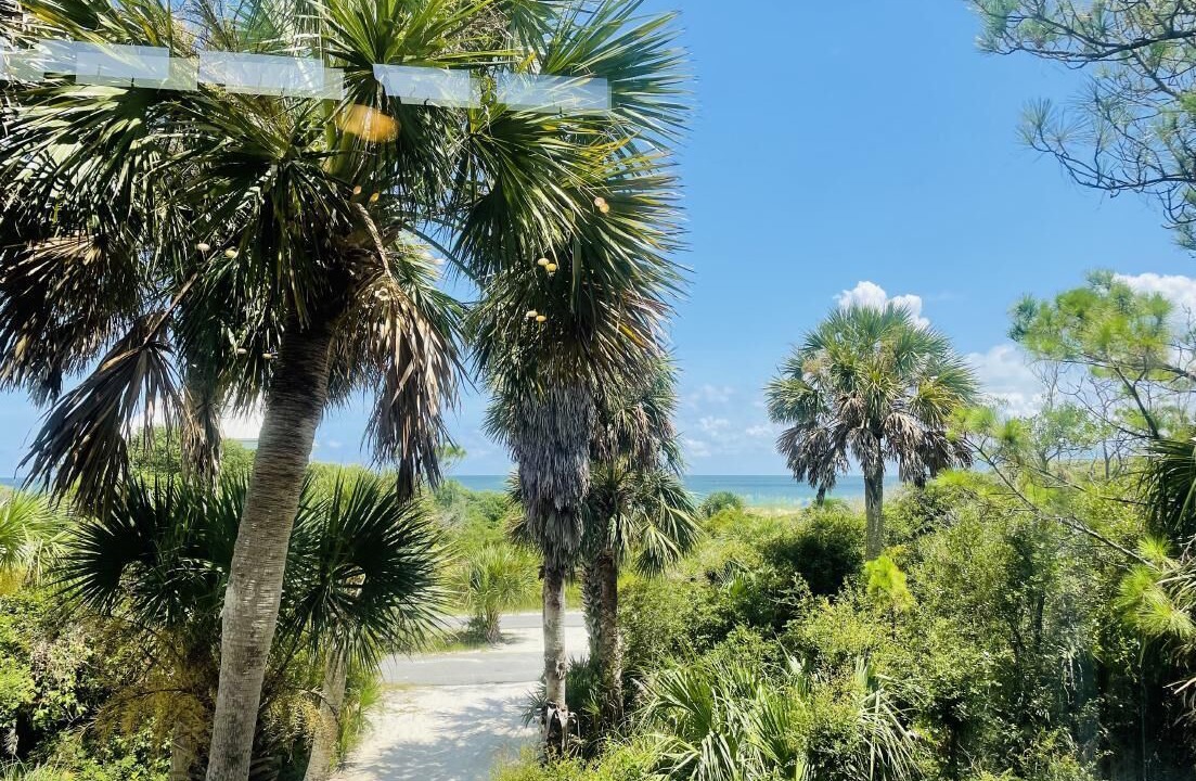 Photo of Outdoor in Treasure Beach Village