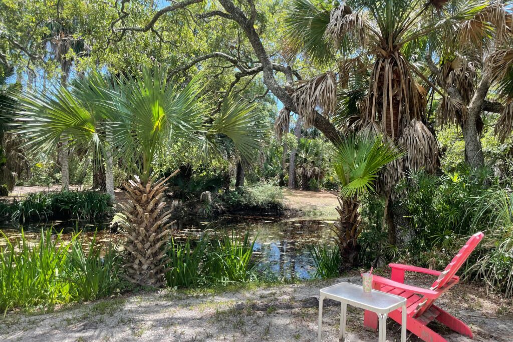 Photo of Outdoor in Treasure Beach Village