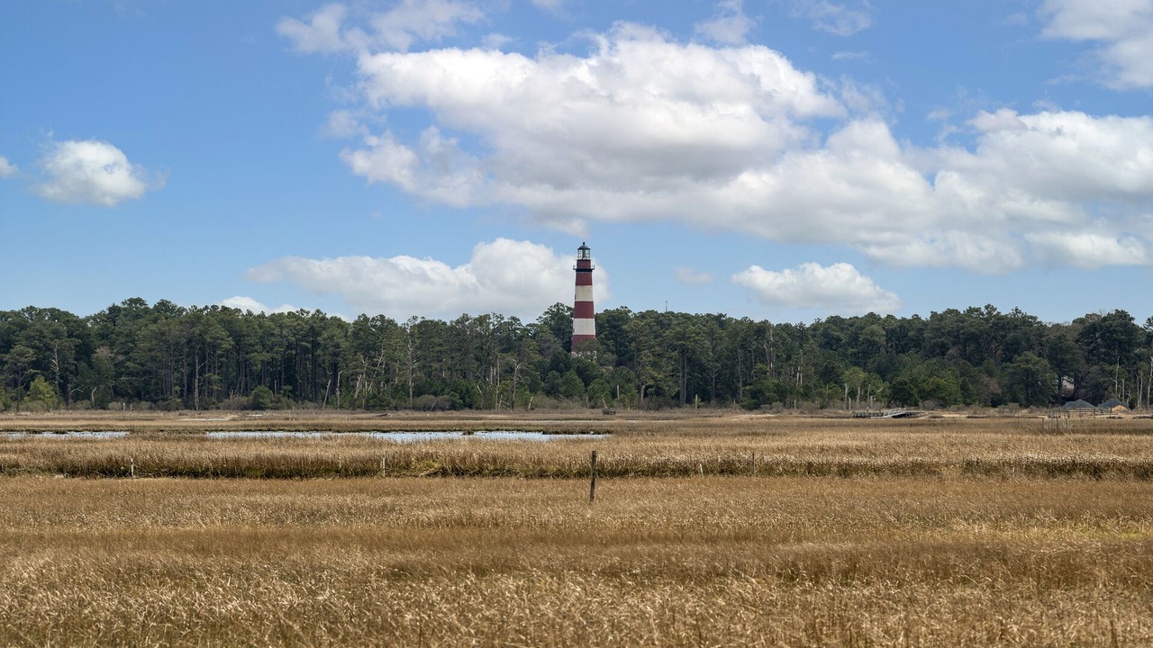 Photo of Others in Chincoteague