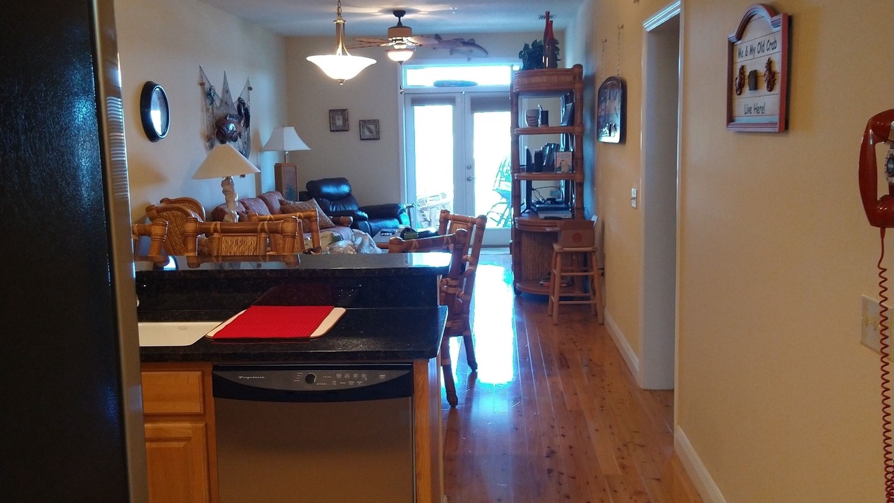 Photo of Others in Steinhatchee