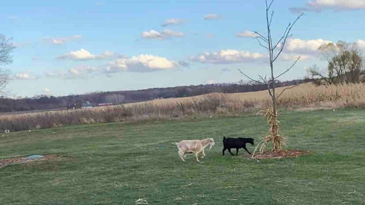 Photo of Outdoor in Leroy