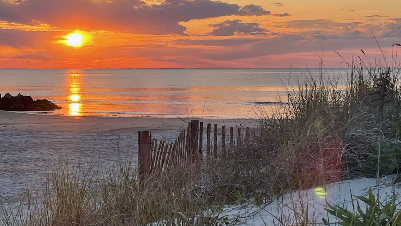 Photo of Others in Cape Charles
