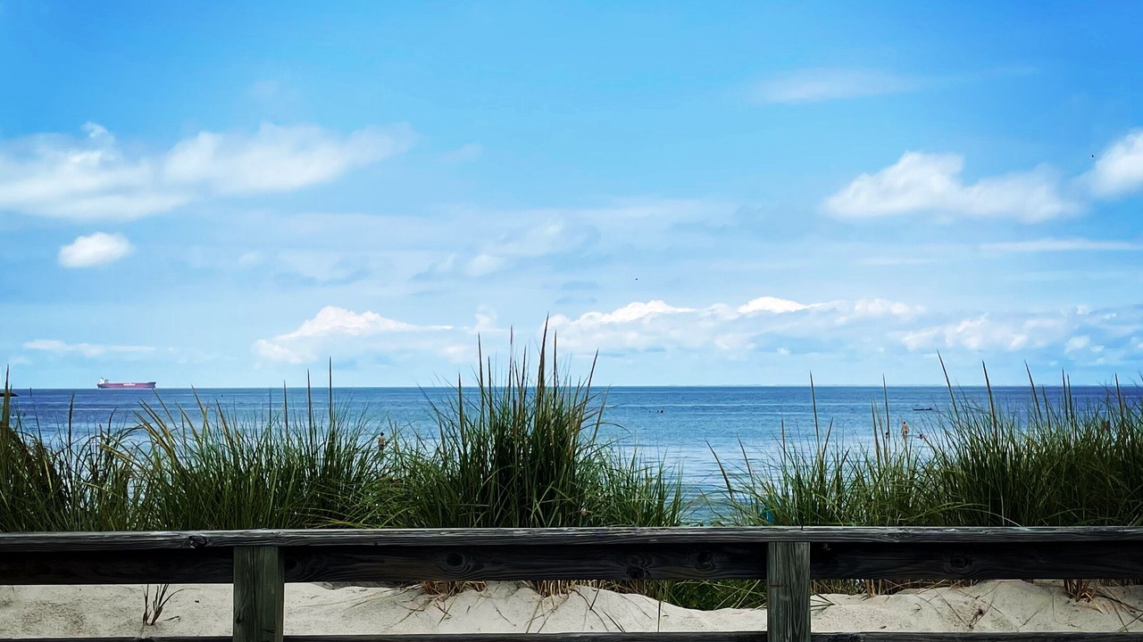 Photo of Others in Cape Charles