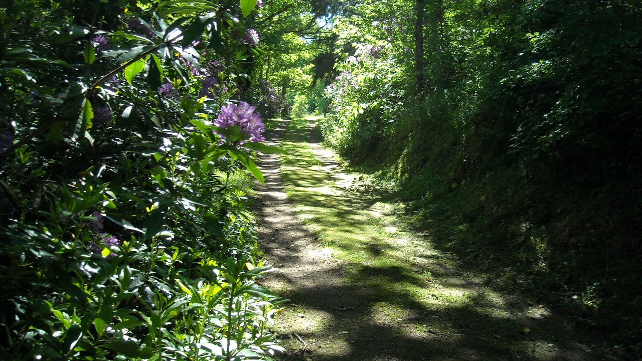 Photo of Outdoor in Plogonnec