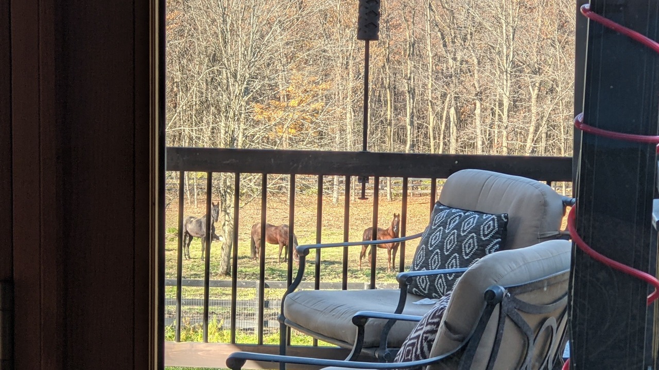 Photo of Outdoor in Fort Edward