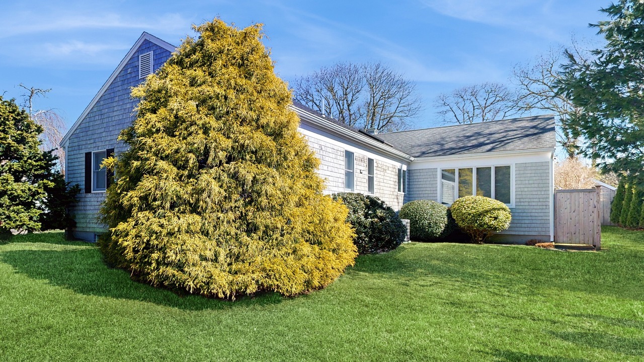 Photo of Outdoor in West Chatham