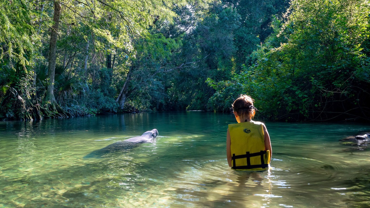 Photo of Others in Weeki Wachee Gardens