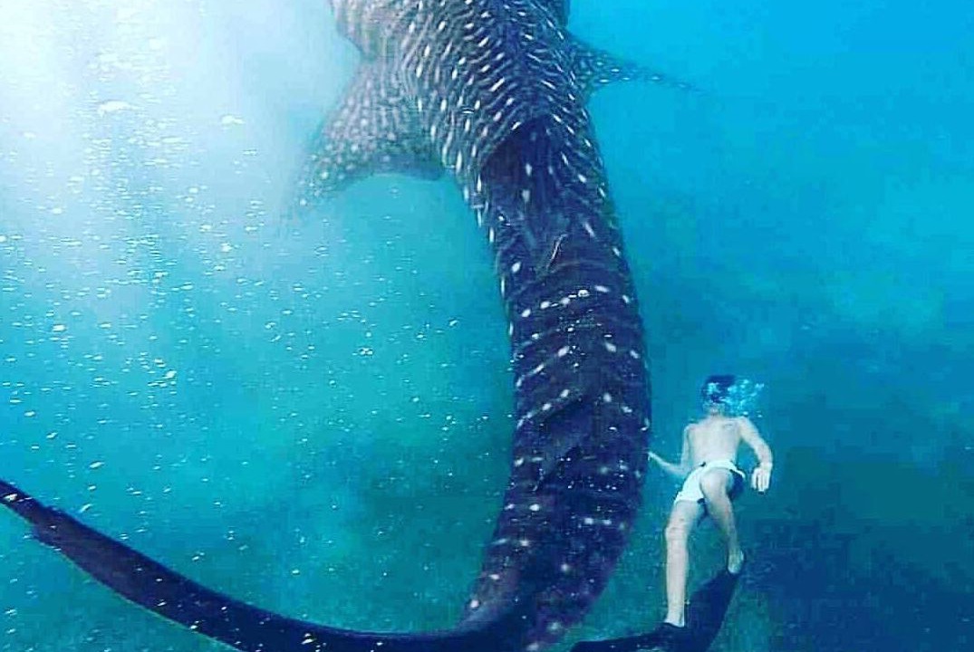 Photo of Others in Lapu-Lapu
