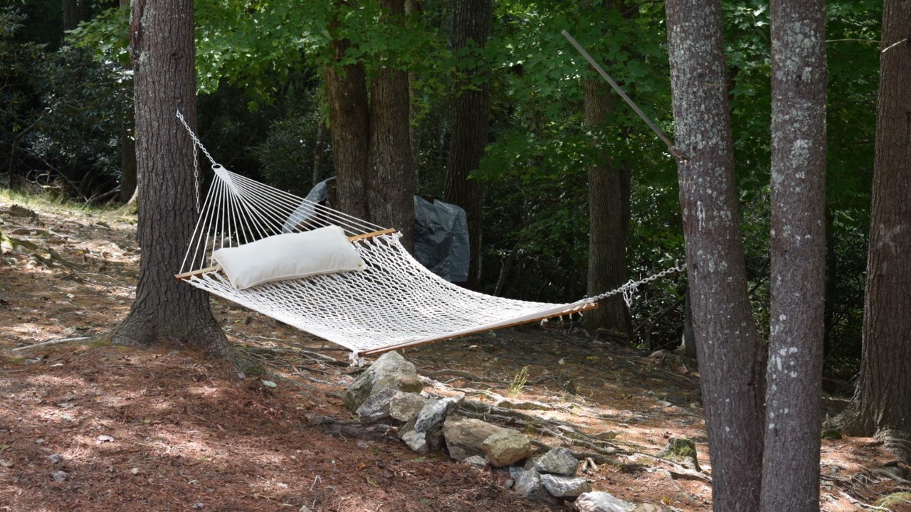 Photo of Others in Piney Creek