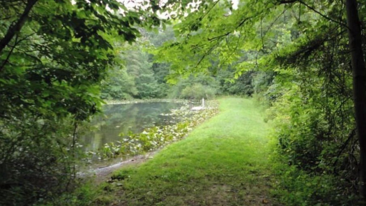Photo of Outdoor in Folsomville