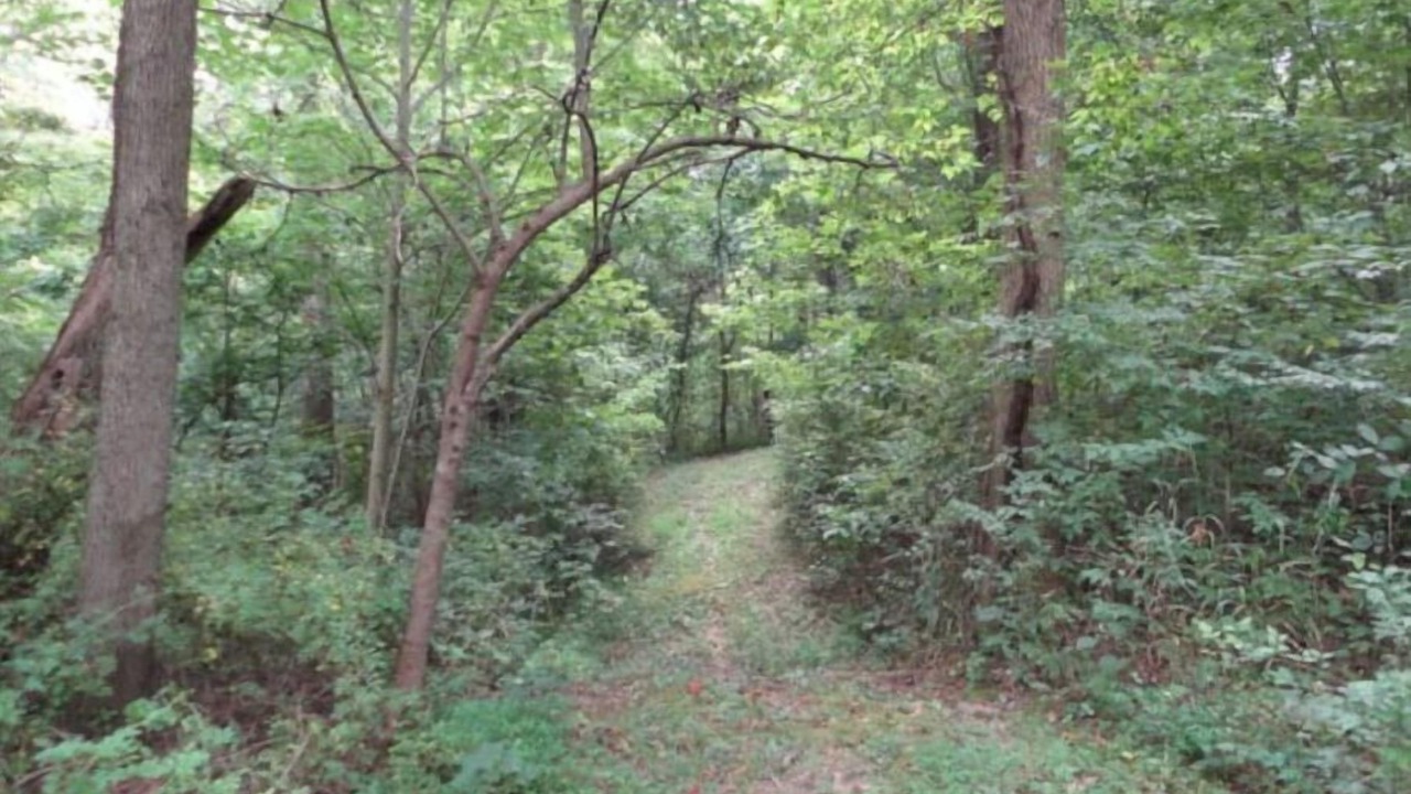 Photo of Outdoor in Folsomville