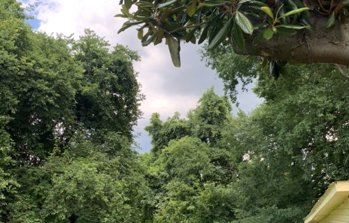 Photo of Outdoor in Cascade