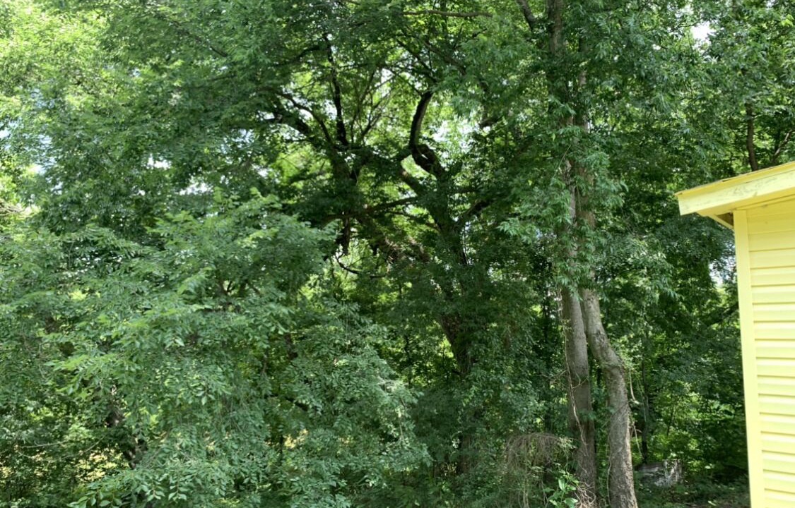 Photo of Others in Cascade