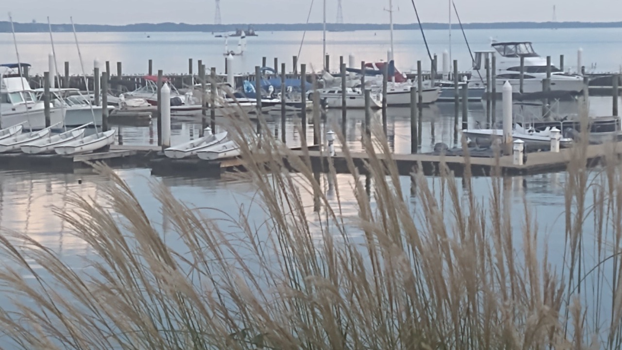 Photo of Others in Kingsmill
