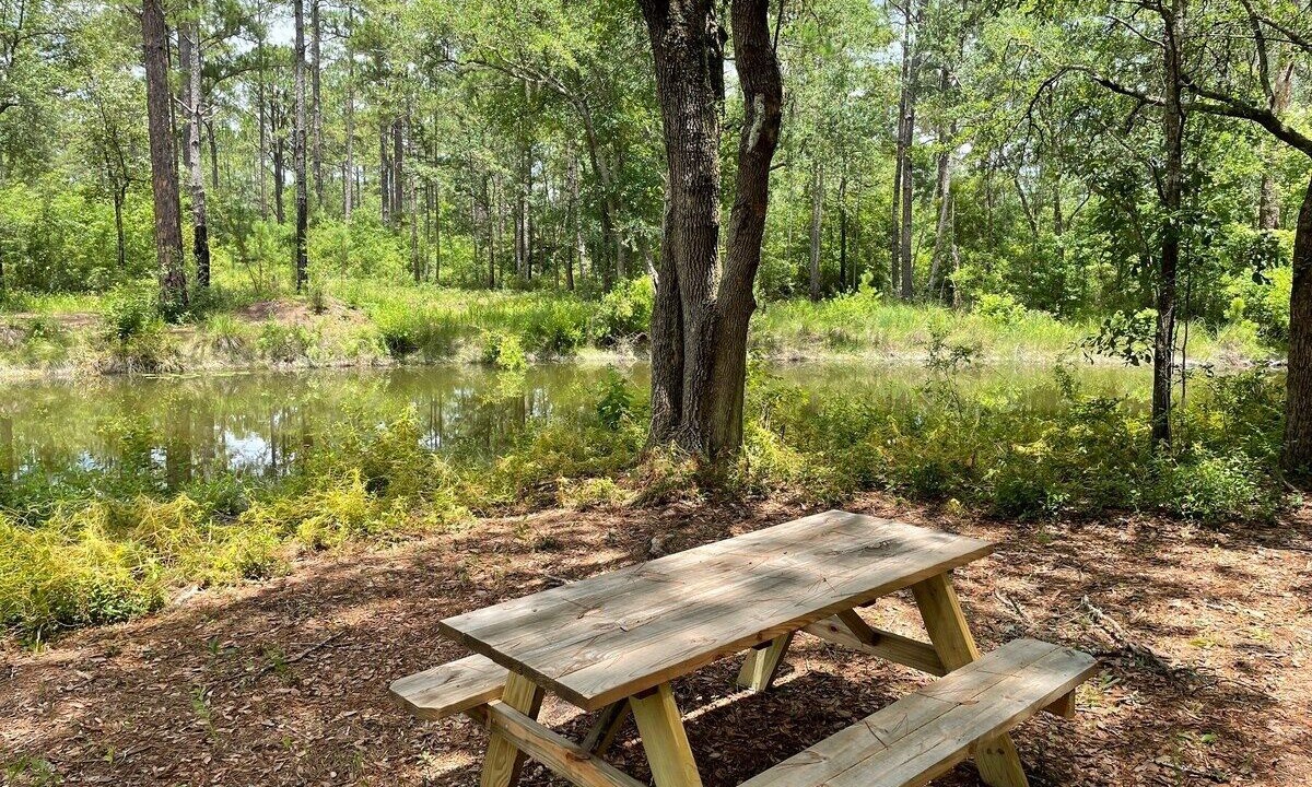 Photo of Outdoor in Tallahassee