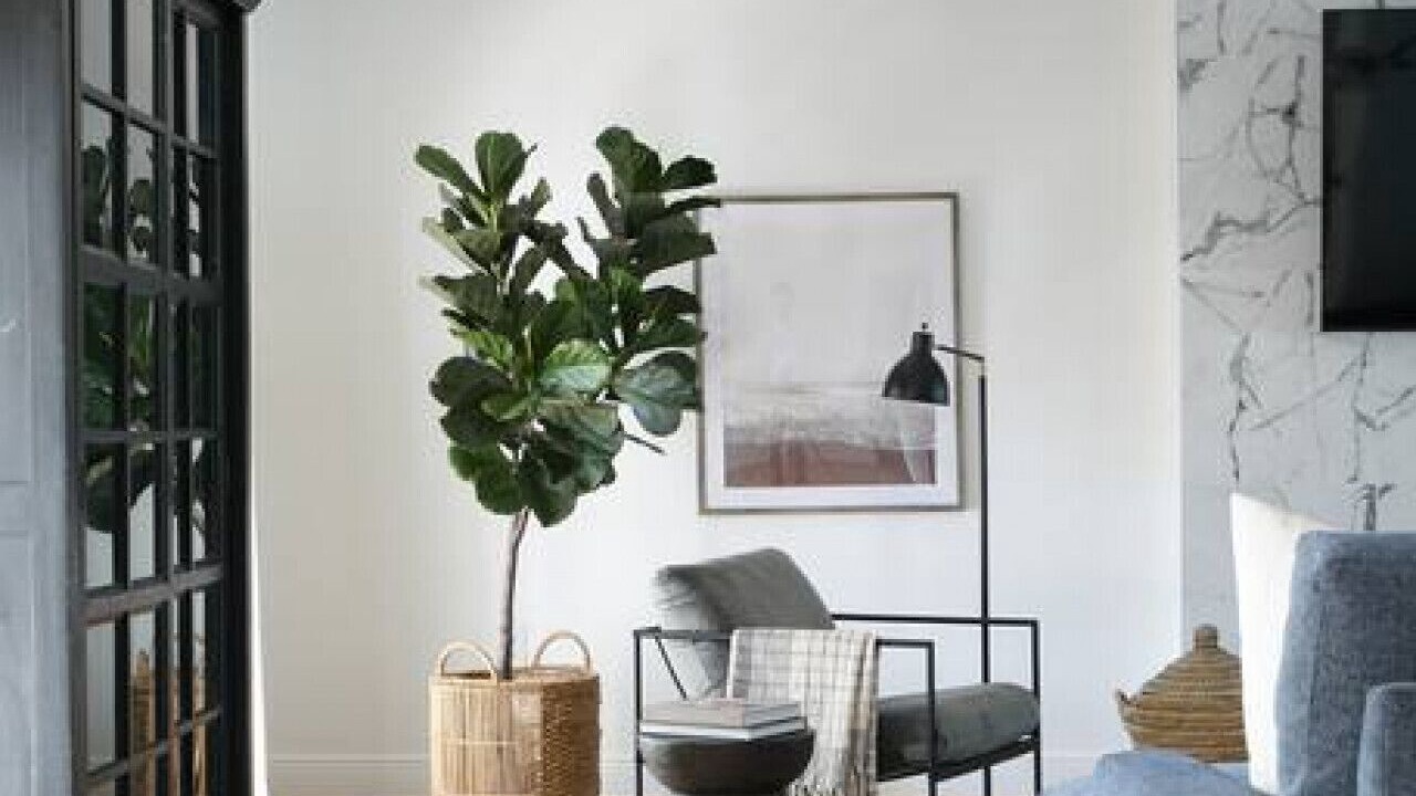 Photo of Livingroom in Whitfield