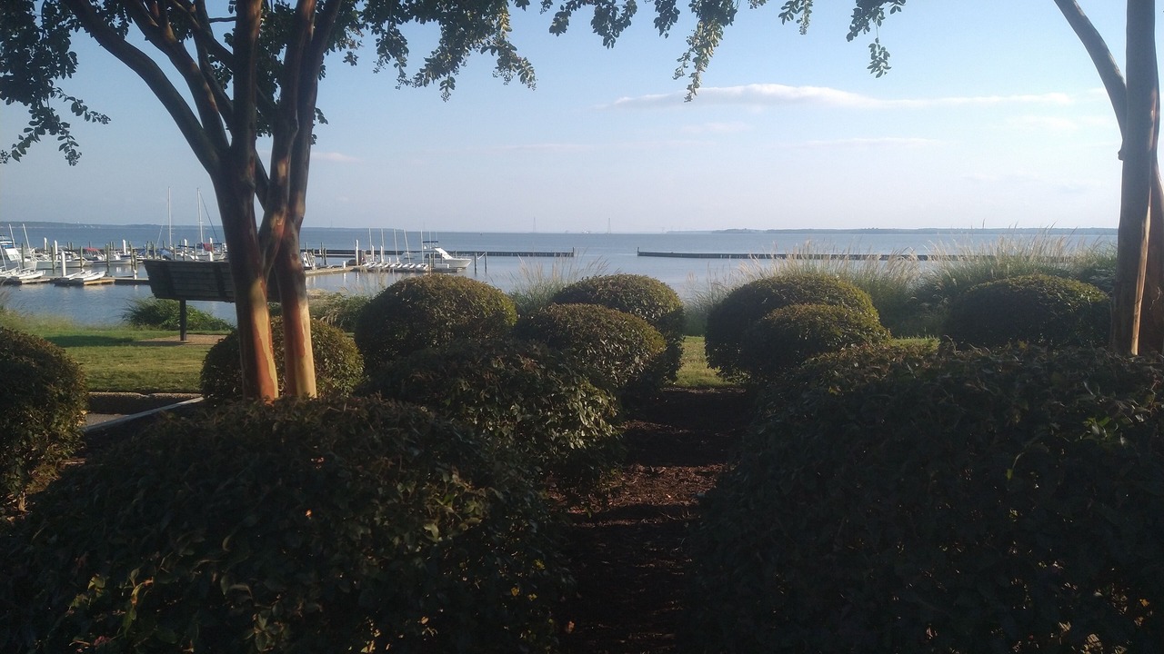 Photo of Outdoor in Lackey