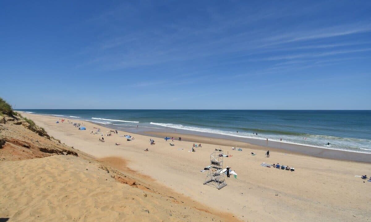 Photo of Others in Wellfleet