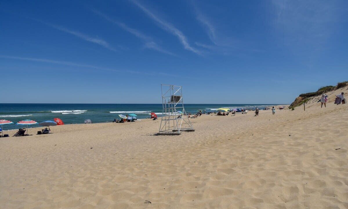 Photo of Others in Wellfleet