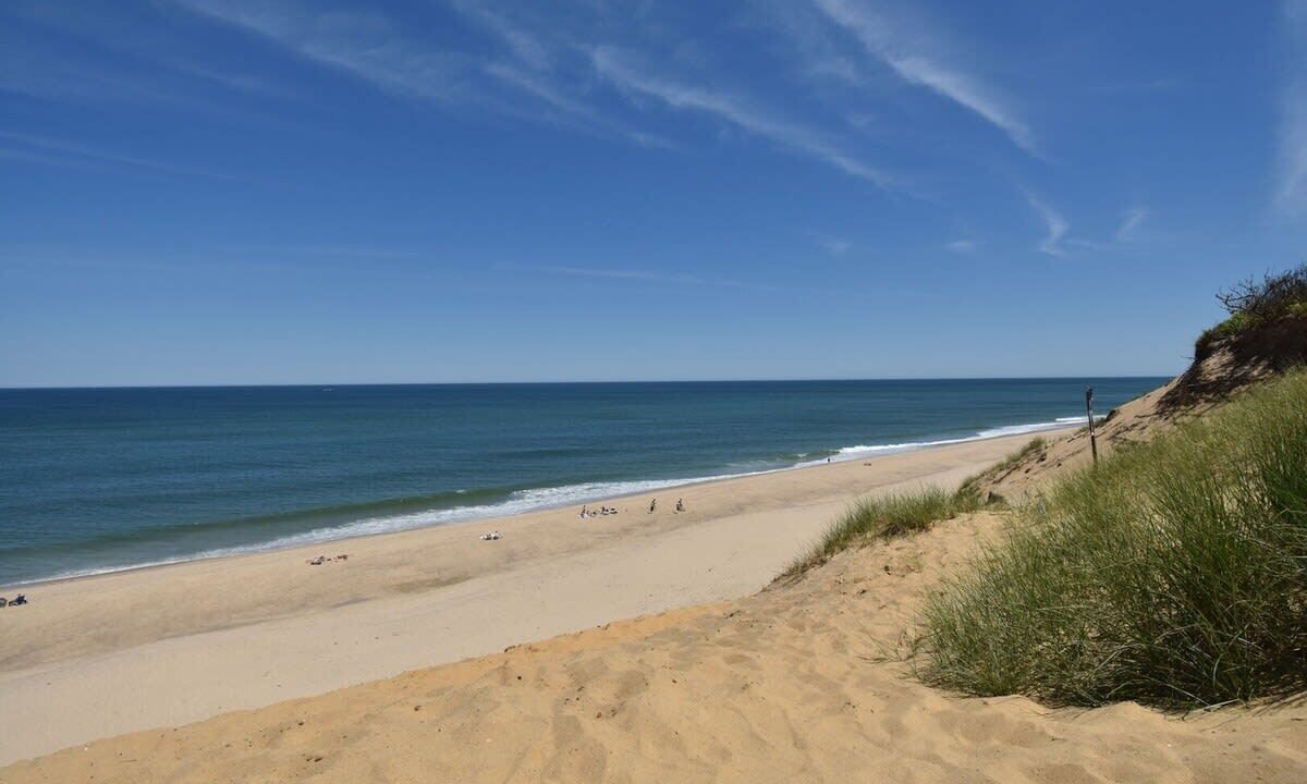 Photo of Others in Wellfleet