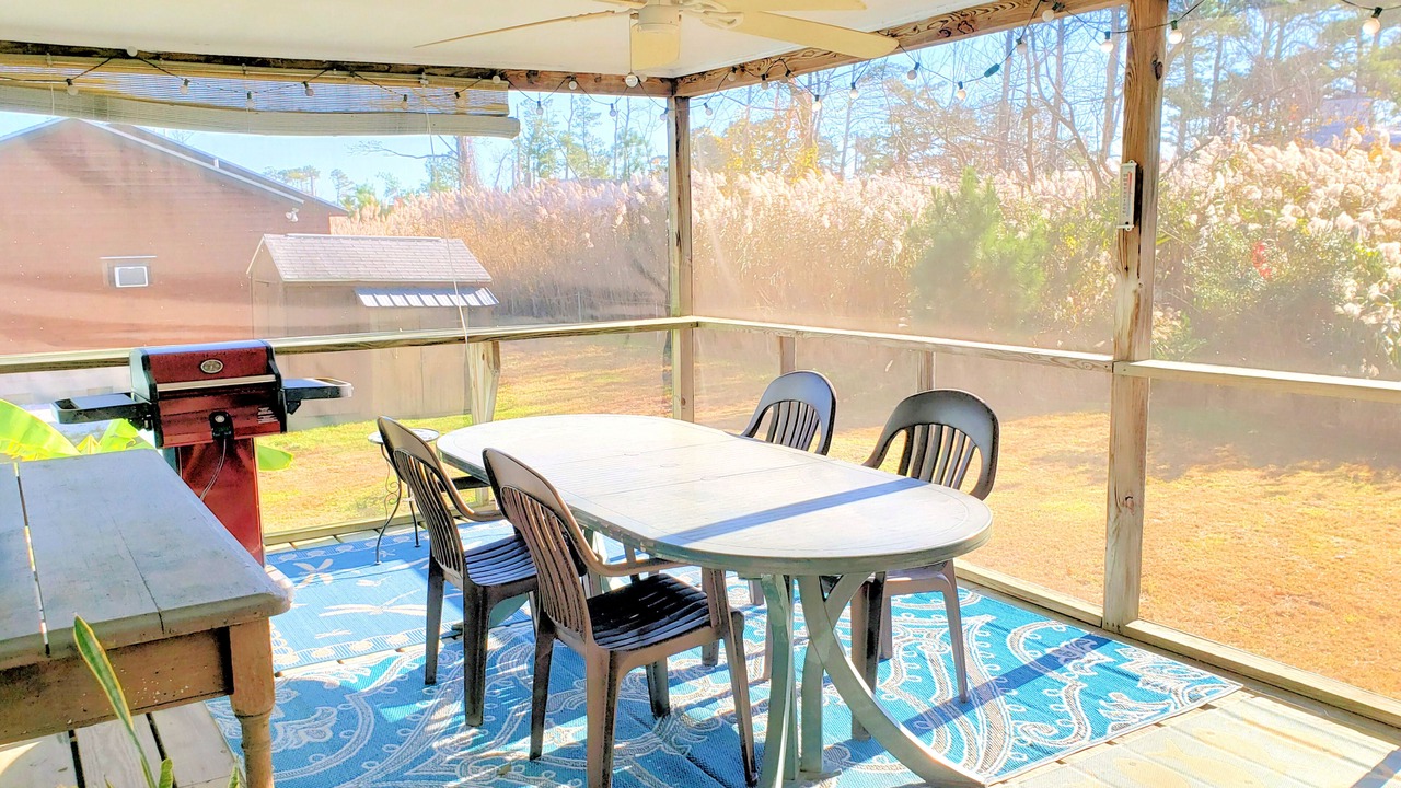 Photo of Outdoor in Piney Island