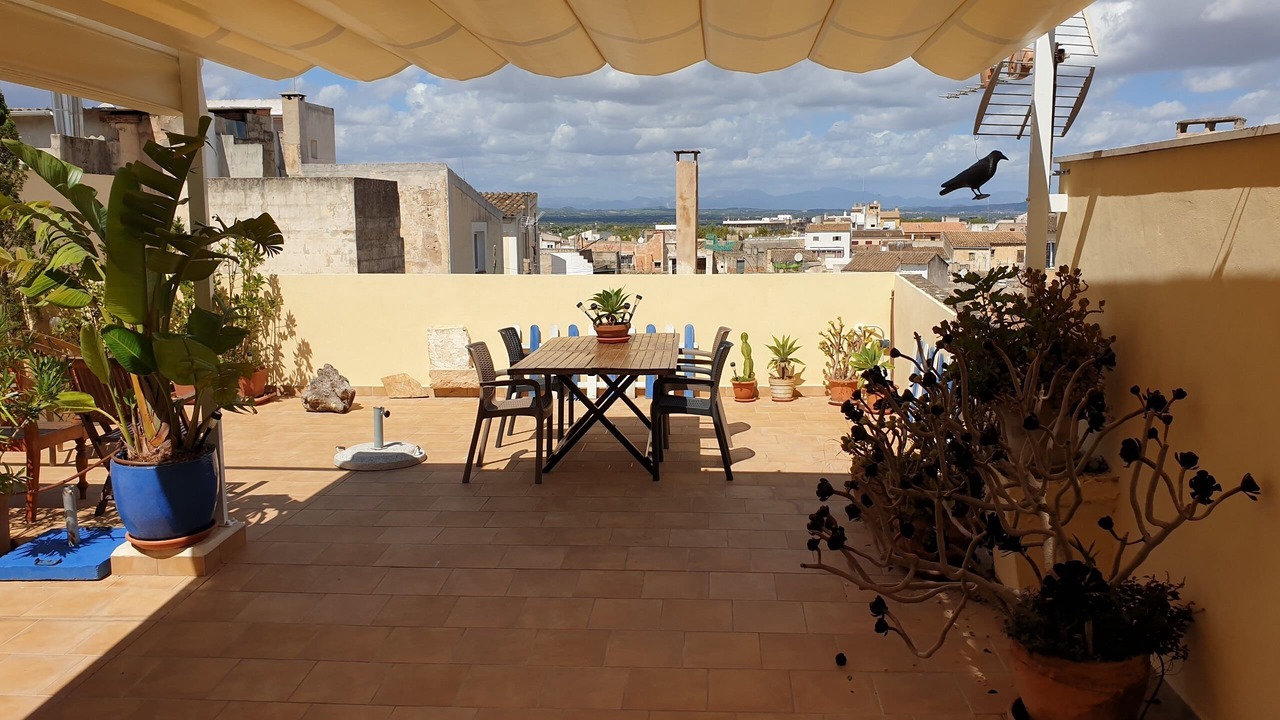 Photo of Outdoor in Felanitx