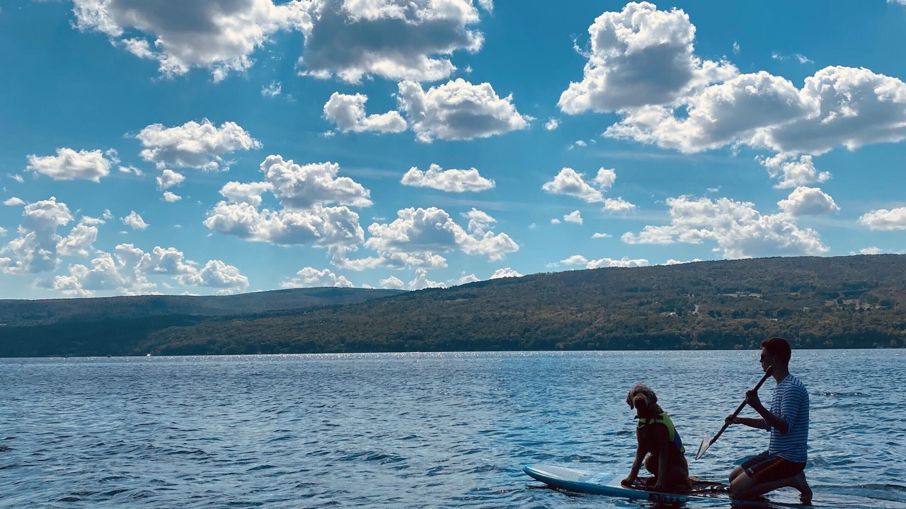 Photo of Others in Canandaigua