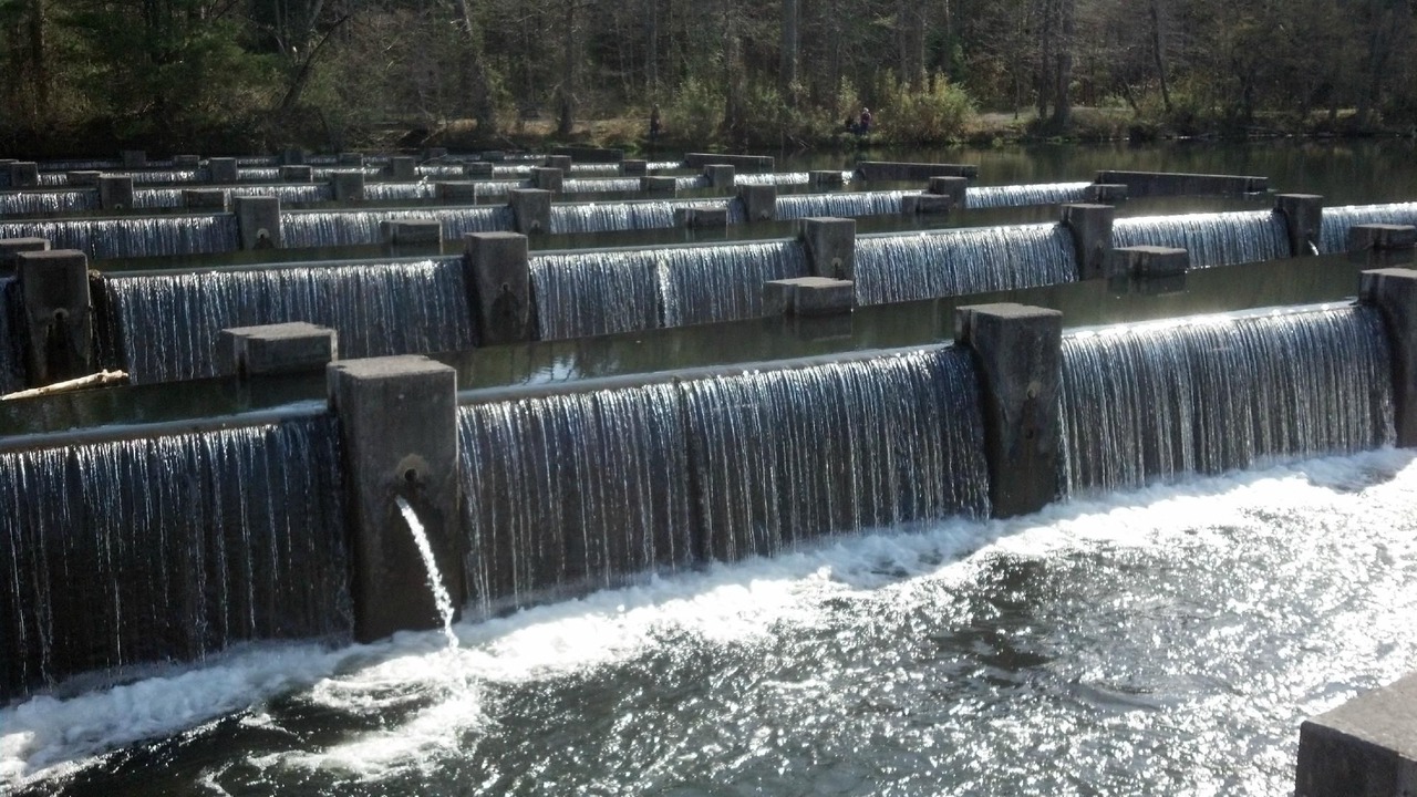 Photo of Outdoor in Tyler
