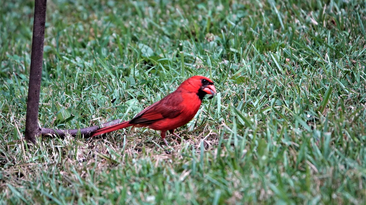 Photo of Outdoor in Union