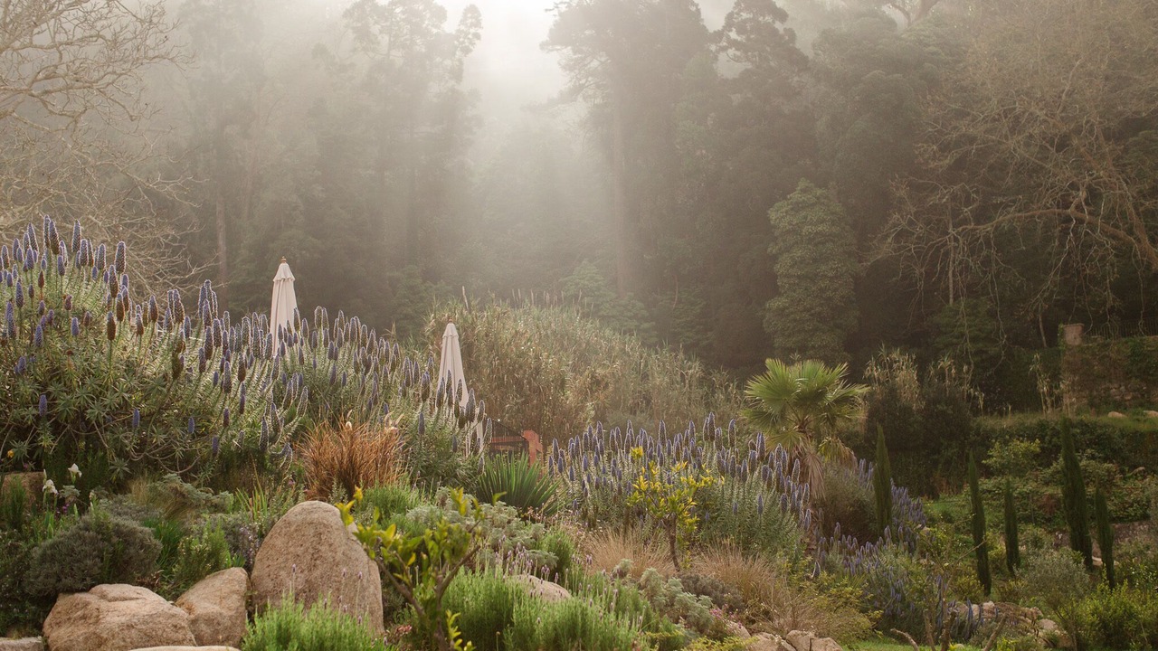 Photo of Outdoor in Sintra