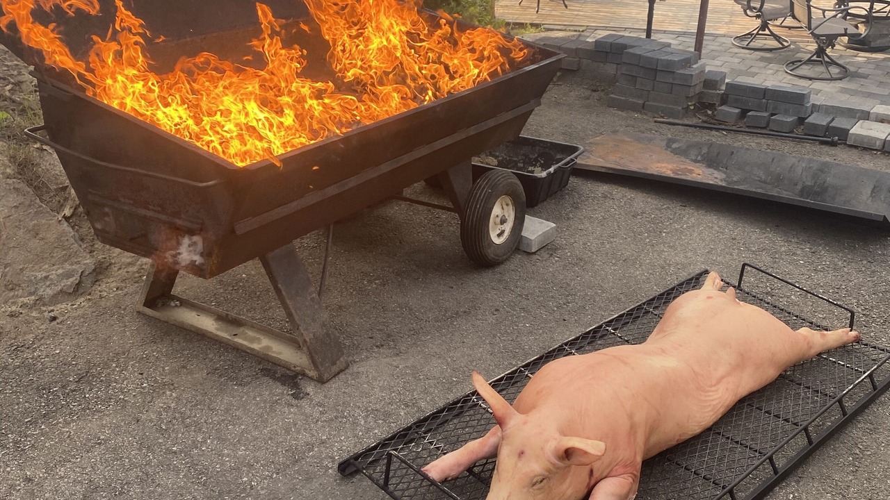 Photo of Outdoor in Webster