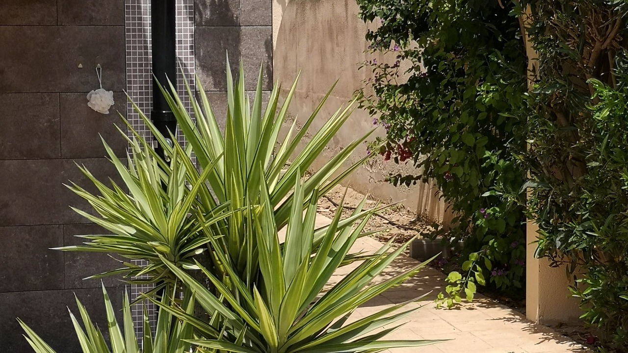 Photo of Outdoor in Los Valientes