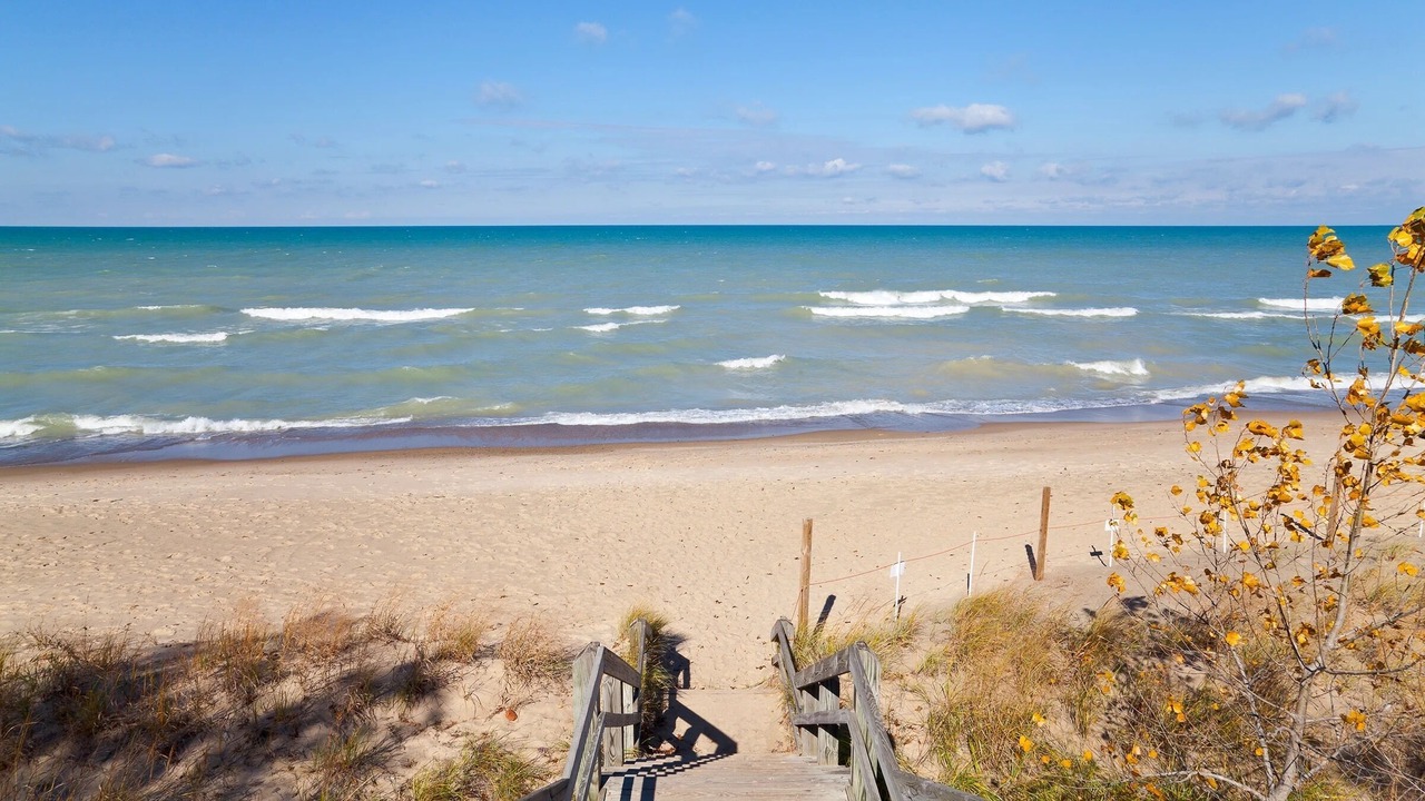 Photo of Others in Michigan City