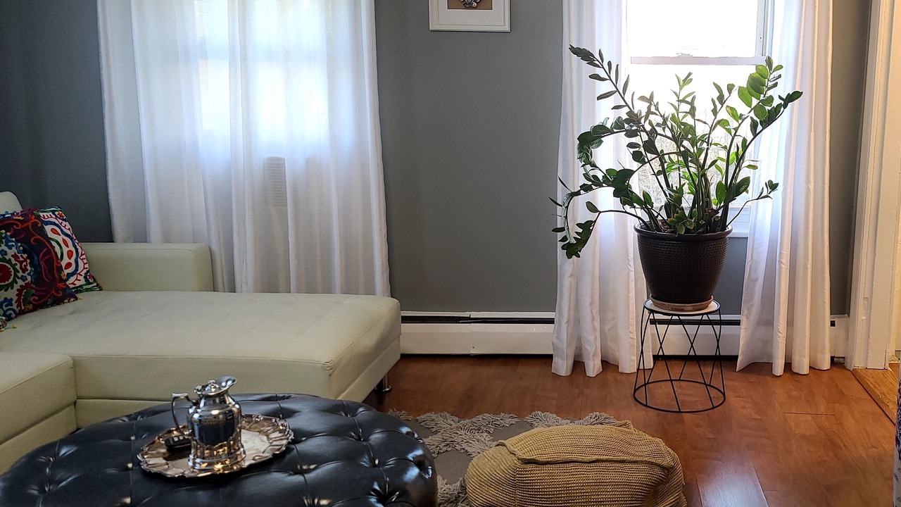 Photo of Livingroom in Quincy