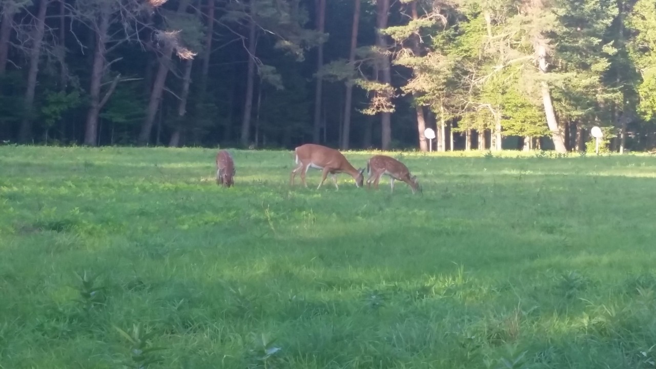 Photo of Others in Ellenburg Center